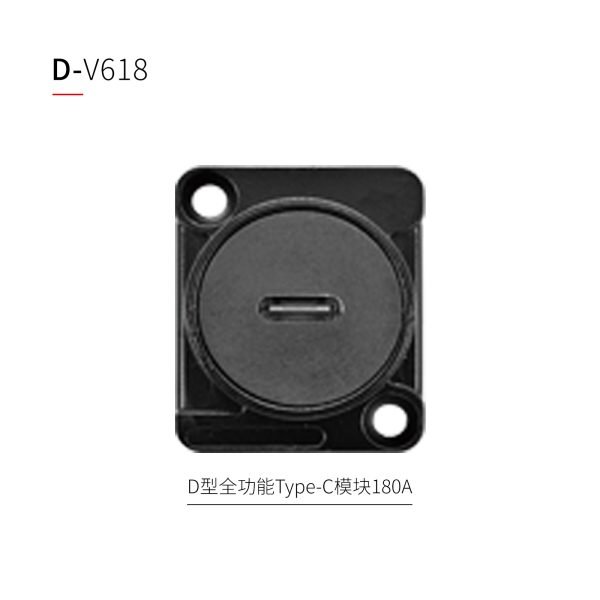 D型视频模块
