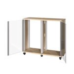 多功能家具式机柜 FEM-P201